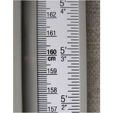 Partial measuring tape / ruler - Did you know you are taller in the morning than at night blog post
